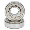 Roulement SKF 6204 BC1 1623 à rouleaux